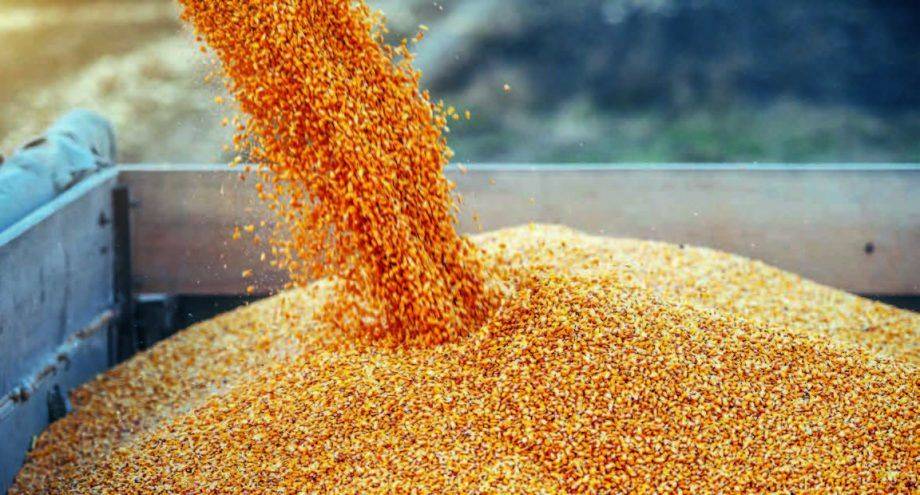 Еврокомиссия продлила запрет на импорт украинского зерна