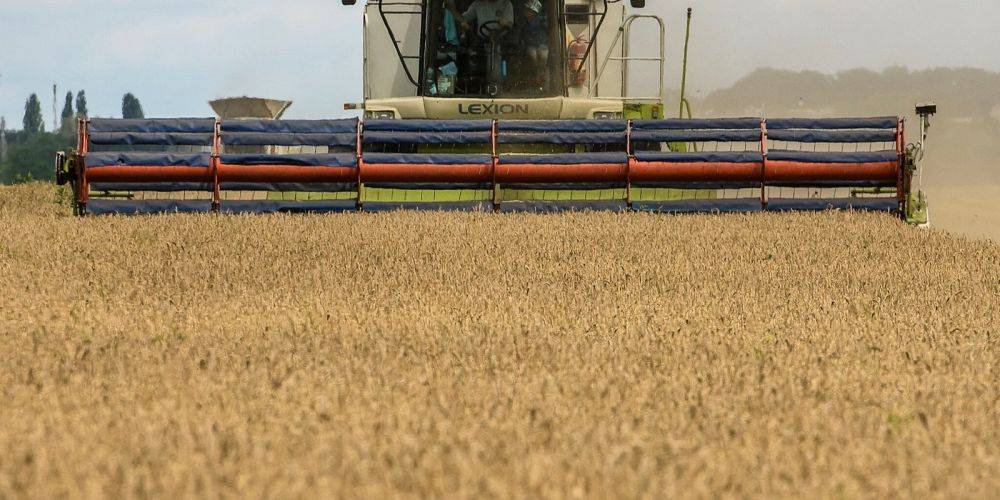 Европа постепенно отменяет ограничения на импорт сельхозпродукции из Украины в пять стран