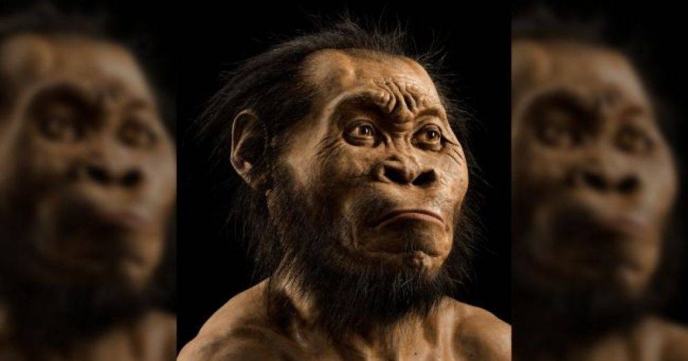 Не только неандертальцы: малоисследованные предки человека Homo naledi тоже хоронили умерших