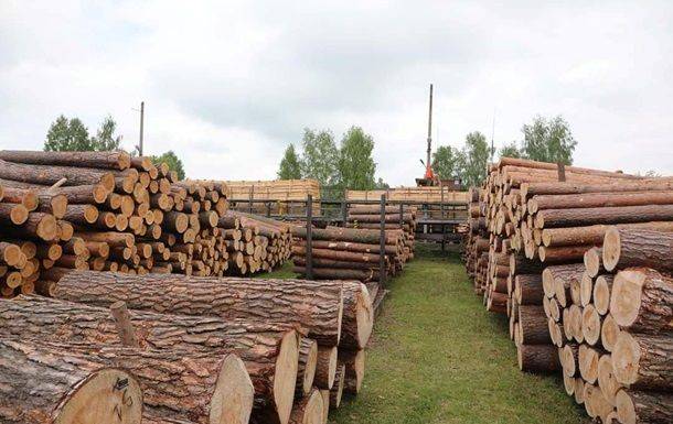 В Черниговской области директора лесхоза подозревают в вырубках на 39 млн грн