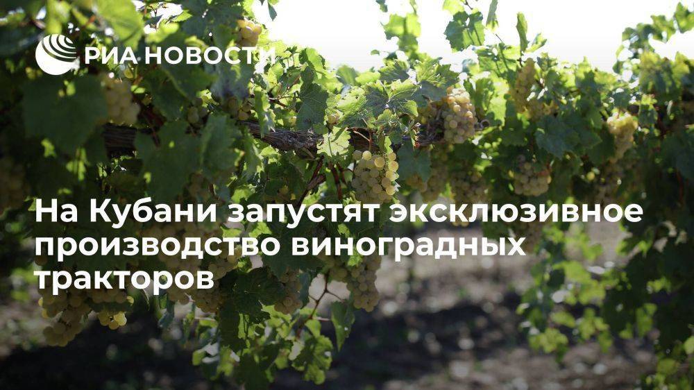 Премьер Белоруссии Головченко: на Кубани будут выпускать уникальные виноградные тракторы