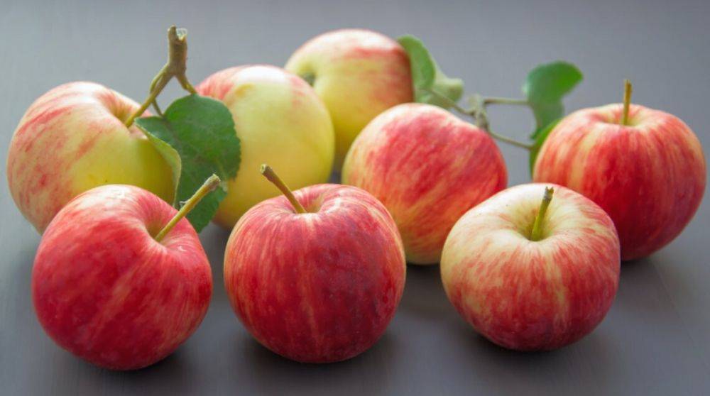 В Украине рекордно подорожали яблоки