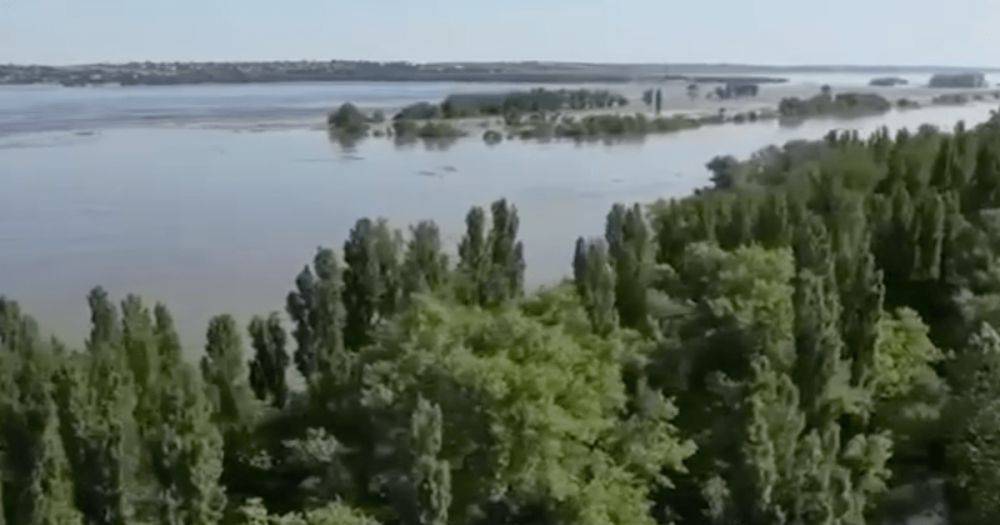 Три Национальных парка подтоплены в результате подрыва Каховской ГЭС, – Генпрокуратура (видео)