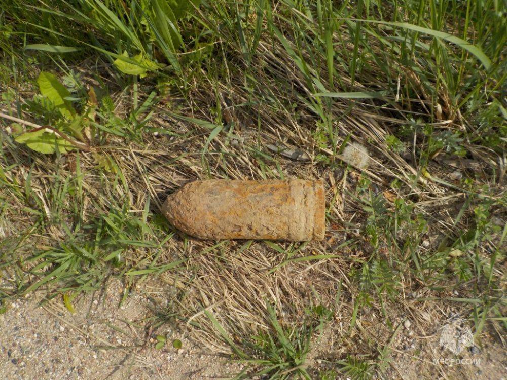 100-килограммовую бомбу обезвредили в Тверской области