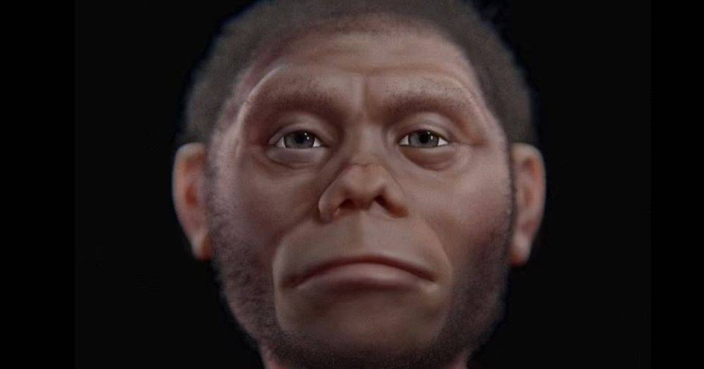 Вот ты какой, Фродо. Создана реконструкция лица "настоящего хоббита": он жил 60 тысяч лет назад (фото)