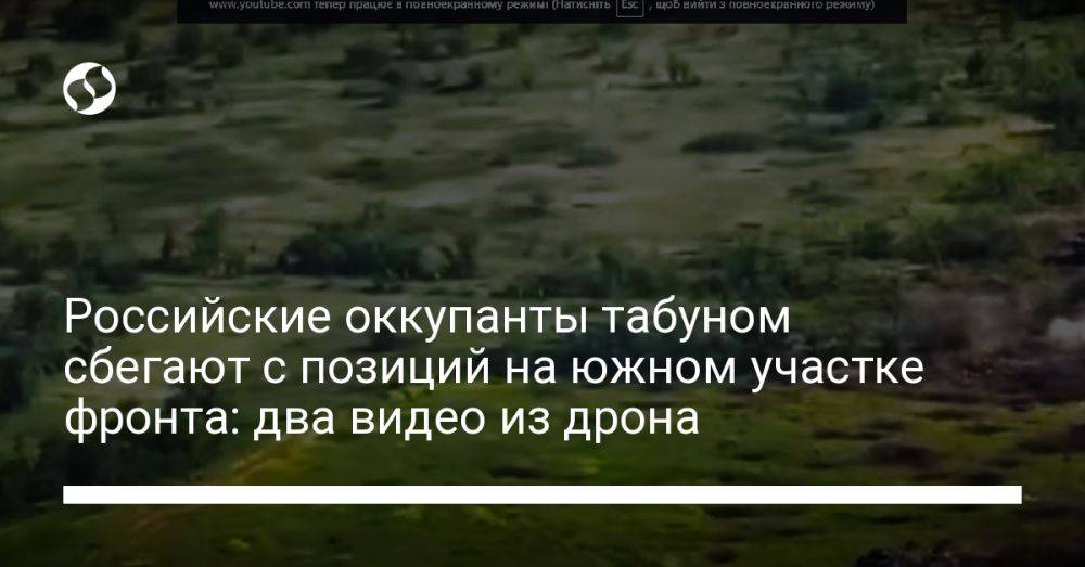 Российские оккупанты табуном сбегают с позиций на южном участке фронта: два видео из дрона