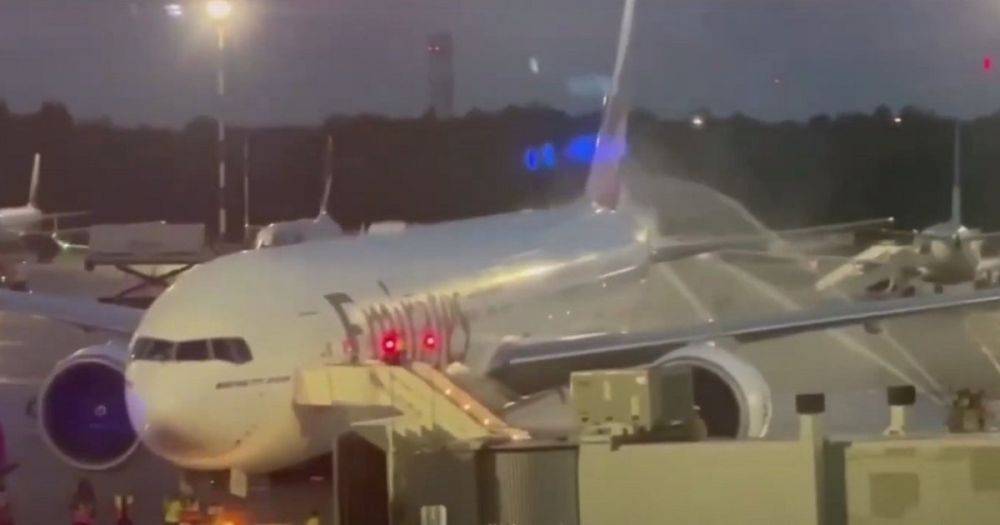 Самолет задымился во время рейса из России в Дубай: спасатели сняли пассажиров (видео)