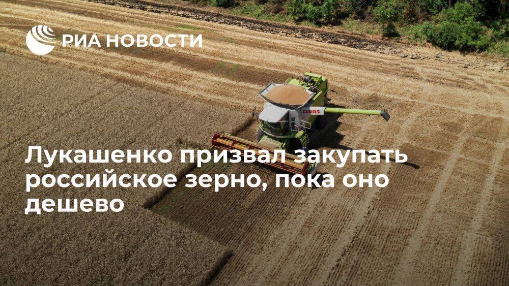Лукашенко: Белоруссии следует закупить зерно из России, пока оно дешево