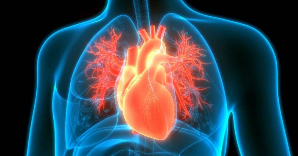 Рентген нового поколения. ИИ научили диагностировать болезни сердца по одному лишь снимку