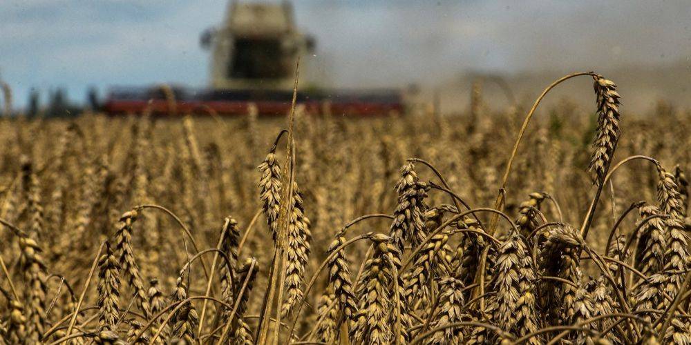 ООН предлагает Путину продлить зерновую сделку в обмен на доступ к SWIFT — Reuters