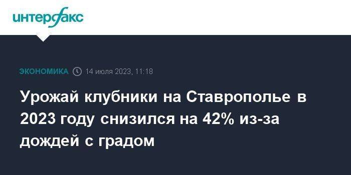 Урожай клубники на Ставрополье в 2023 году снизился на 42% из-за дождей с градом