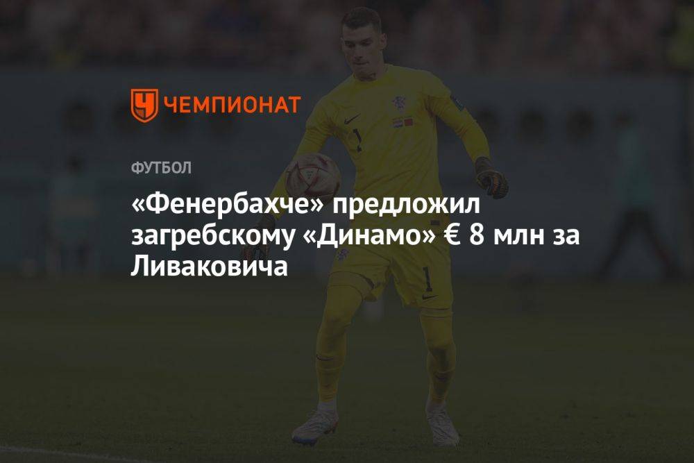 «Фенербахче» предложил загребскому «Динамо» € 8 млн за Ливаковича