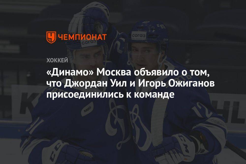 «Динамо» Москва объявило о том, что Джордан Уил и Игорь Ожиганов присоединились к команде