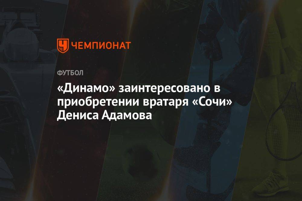 «Динамо» заинтересовано в приобретении вратаря «Сочи» Дениса Адамова