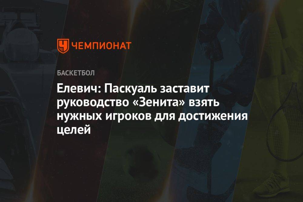 Елевич: Паскуаль заставит руководство «Зенита» взять нужных игроков для достижения целей