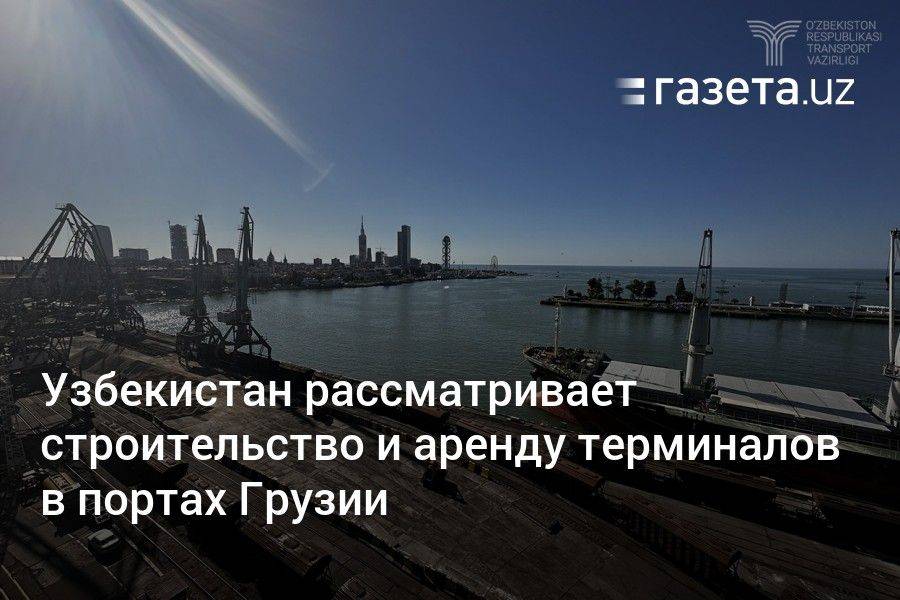 Узбекистан рассматривает строительство и аренду терминалов в портах Грузии