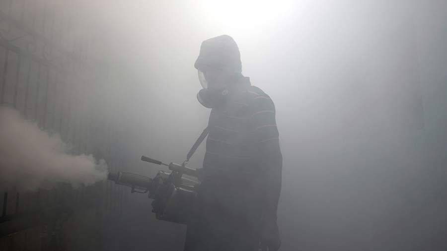 ВОЗ выразила беспокойство вспышкой лихорадки Денге в Северной и Южной Америке