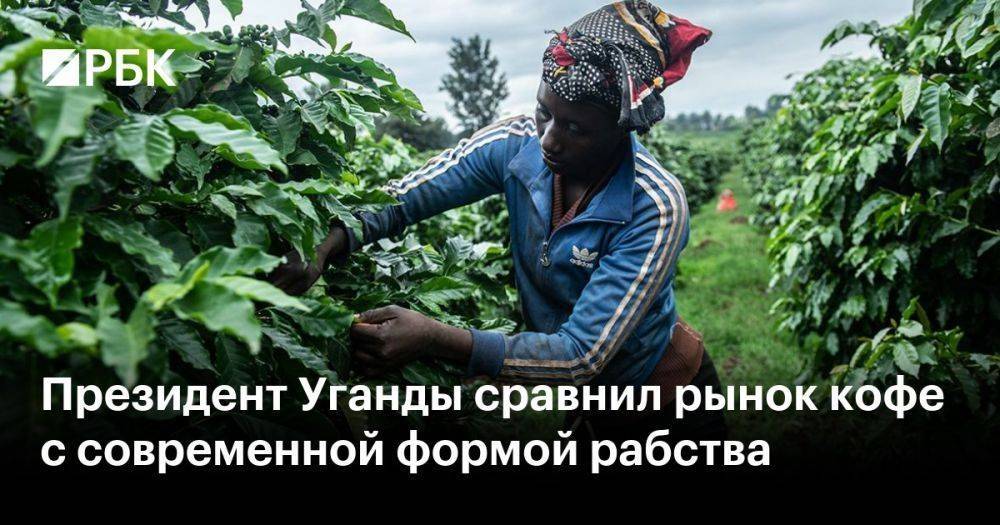 Президент Уганды сравнил рынок кофе с современной формой рабства