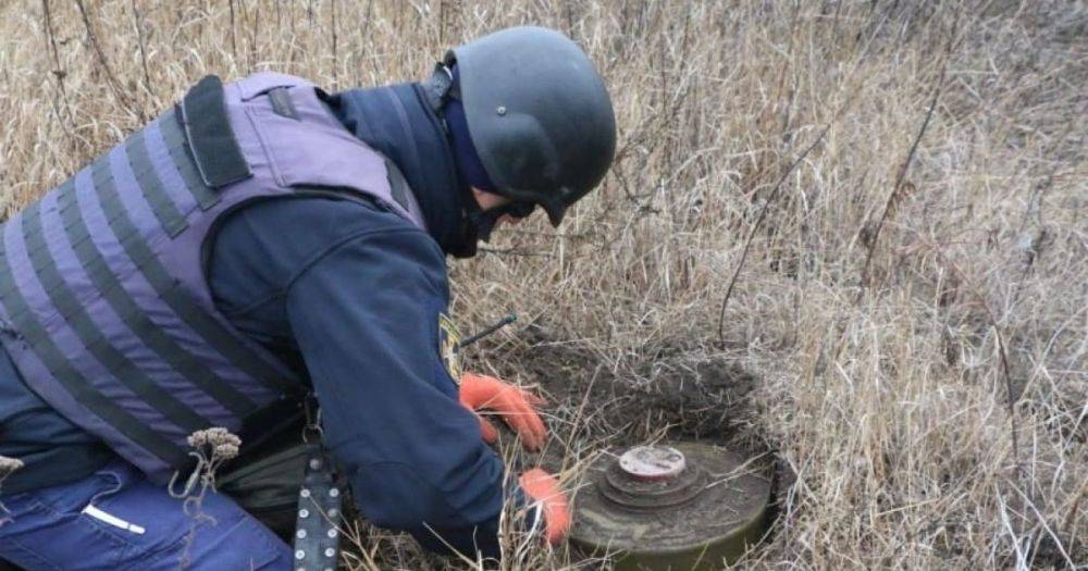 По 4 мины на квадратный метр: МВД о сложностях контрнаступления на юге Украины