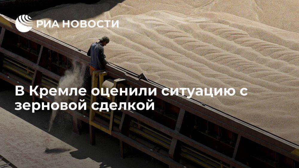 Песков: Кремлю пока нечего сообщить о зерновой сделке, но надежд на ее выполнение немного
