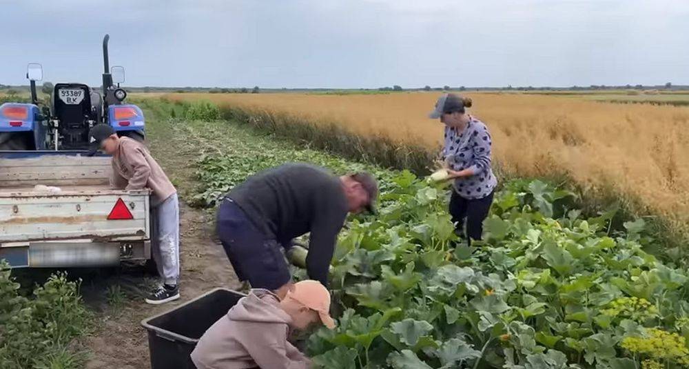 Налог на огород отменяется: кому из украинцев разрешили не платить за землю в 2023 году