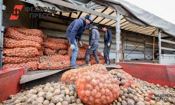 Что происходит с ценами на овощи в Свердловской области: ответ министра