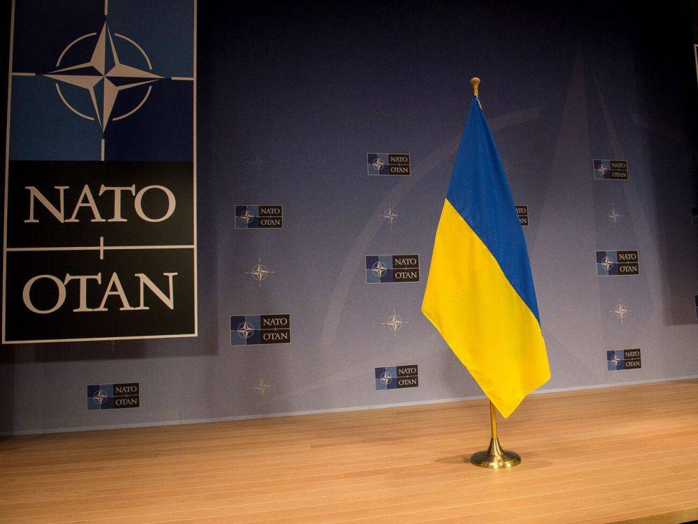 НАТО должно пригласить Украину и направить экспедиционный корпус –колонка в Times