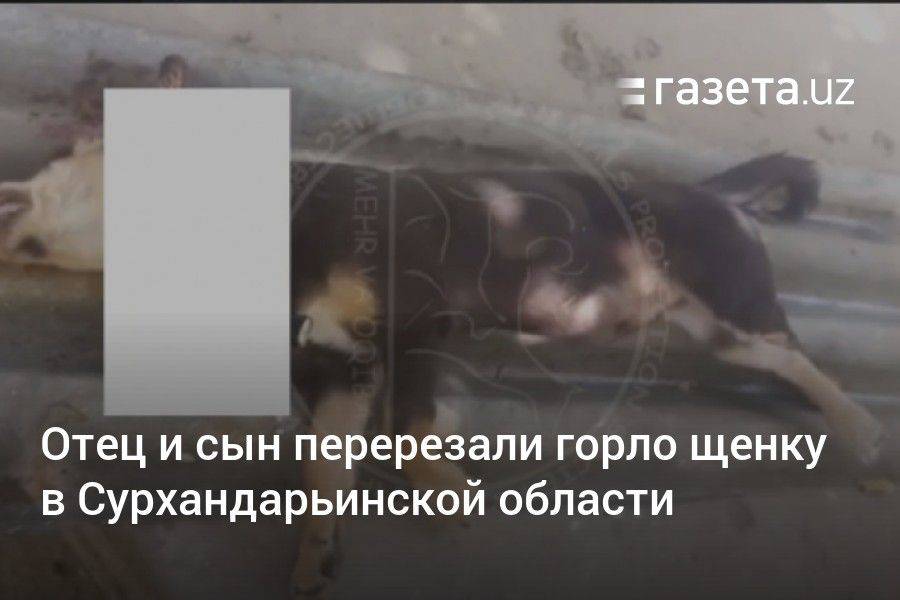 Отец и сын перерезали горло щенку в Сурхандарьинской области