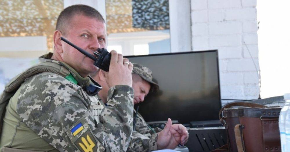 "Все по плану": Залужный посетил бойцов ВСУ на двух направлениях фронта (видео)