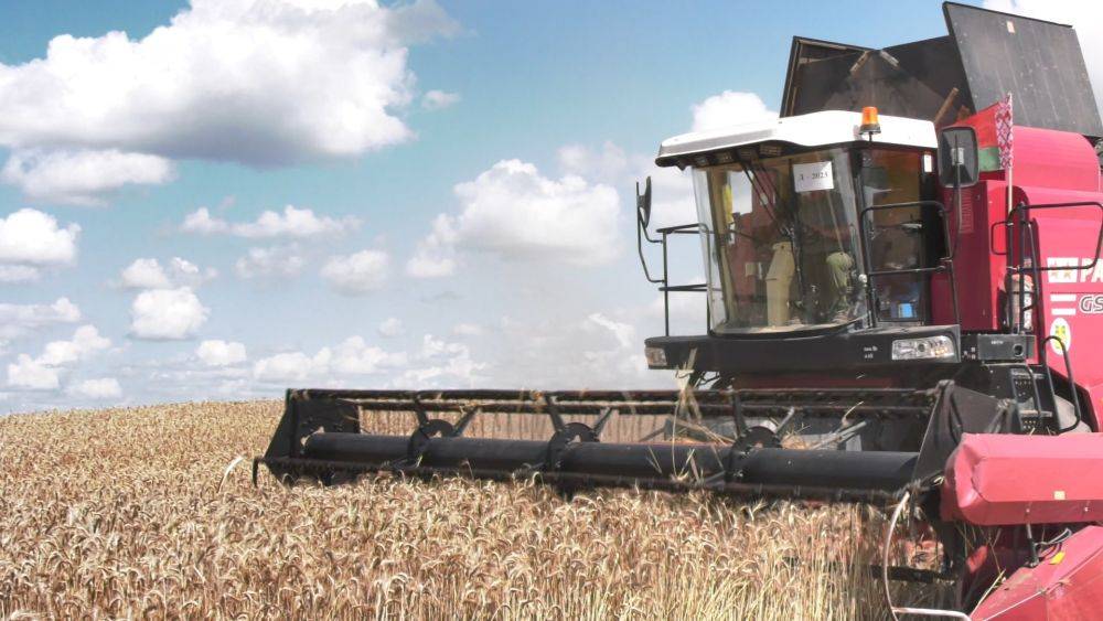 Первый миллион тонн зерна – у хлеборобов Брестской области