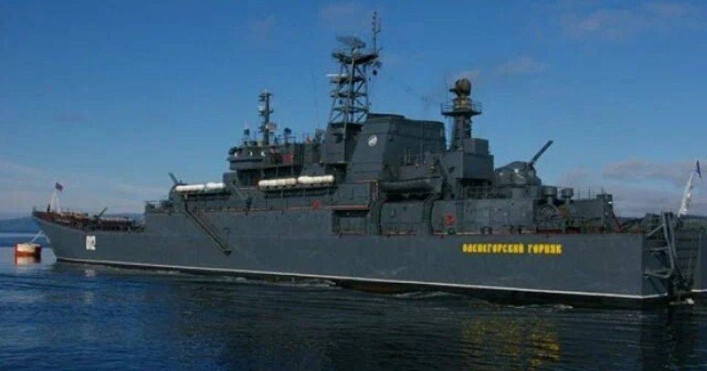 В ВМС оценили вероятность высадки российского десанта