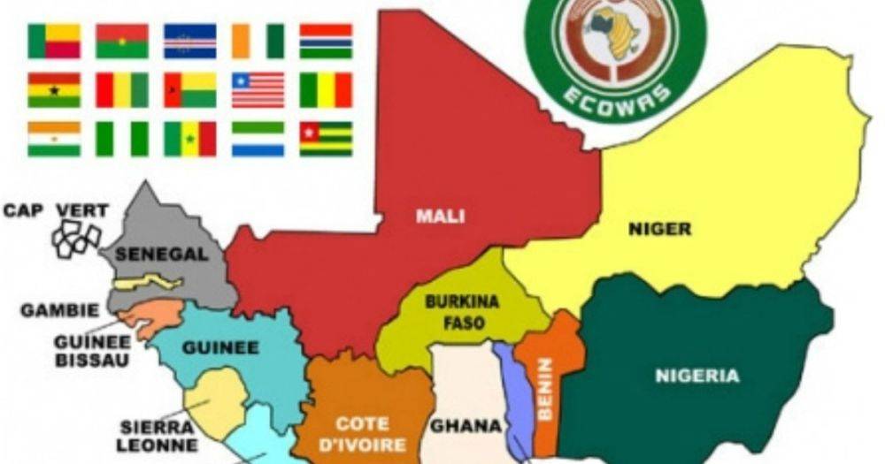 Страны западной Африки готовы силой свергнуть хунту в Нигере
