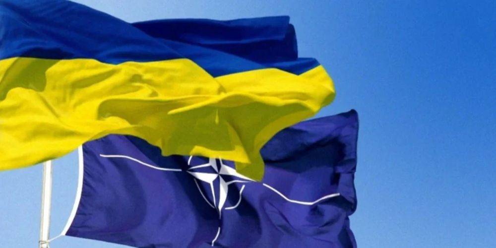 Глава канцелярии Столтенберга допустил, что Украина может вступить в НАТО в обмен на территории