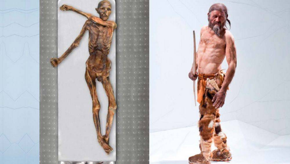 Ученые нашли доказательства происхождения ледяного человека Этци из Альп - фото и видео