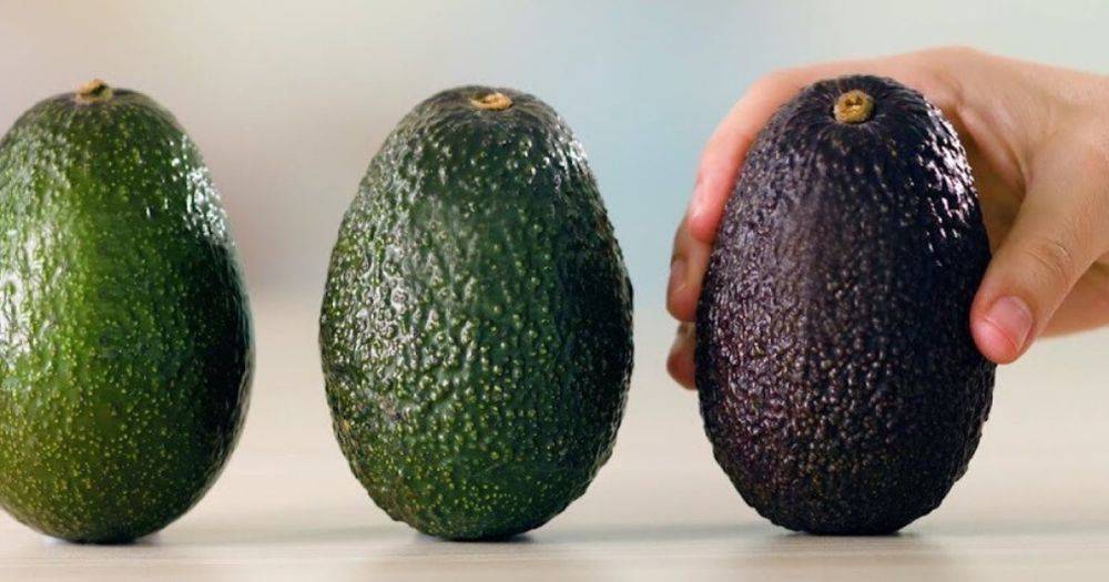 Как выбрать авокадо, чтобы не разочароваться. Три секрета популярного суперфуда