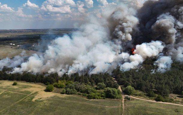 В Николаевской области горит Андреевское лесное урочище