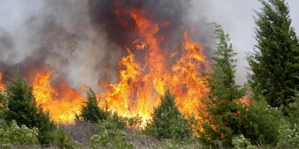 Погода в Киевской области 22-24 августа - жителей предупредили о пожарной опасности