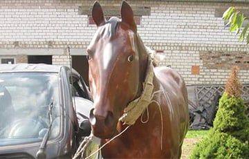 Белорус продает искусственную лошадь в натуральную величину