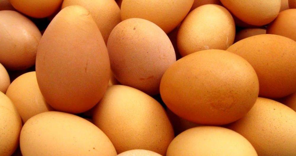 И как вам цены? Чиновники на Волыни хотят закупить яйца по 50 гривен за штуку за бюджетные деньги
