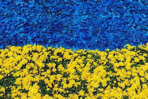 День Независимости 2023 - в сети вспомнили важные фото становления независимости Украины