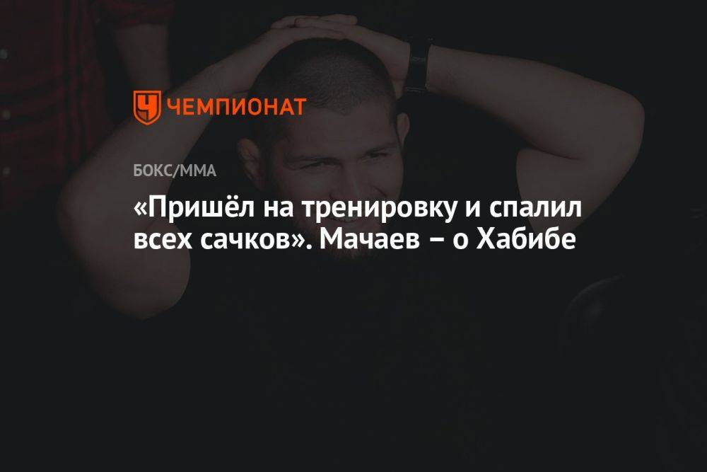 «Пришёл на тренировку и спалил всех сачков». Мачаев – о Хабибе