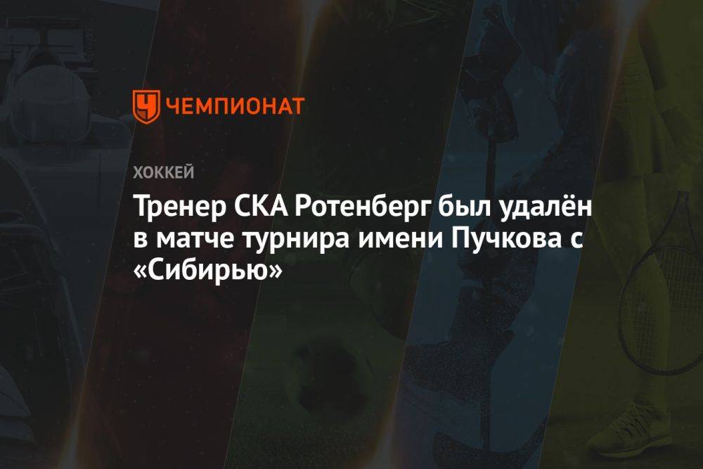Тренер СКА Ротенберг был удалён в матче турнира имени Пучкова с «Сибирью»