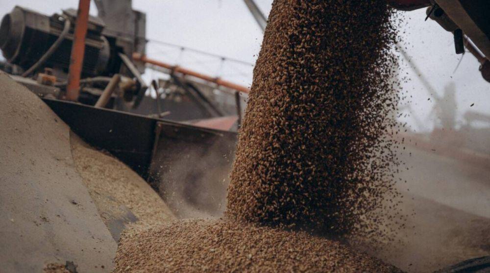 Оккупанты похитили почти 4 млн тонн украинского зерна – ЦНС