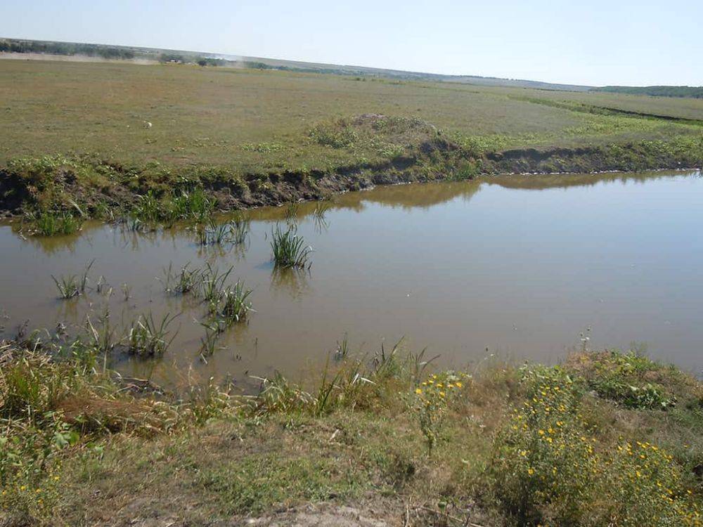 В Одесской области водоканал заплатил штраф загрязнения реки | Новости Одессы