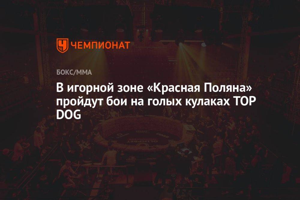 В игорной зоне «Красная Поляна» пройдут бои на голых кулаках TOP DOG