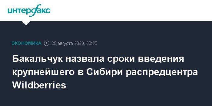 Бакальчук назвала сроки введения крупнейшего в Сибири распредцентра Wildberries