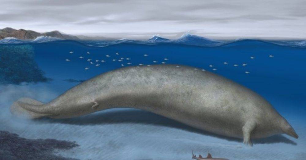Найден скелет самого тяжелого животного в истории Земли: более 20 м в длину и весом до 340 тонн (фото)