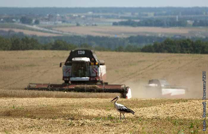 В России на конец августа собрали уже более 100 млн тонн зерна