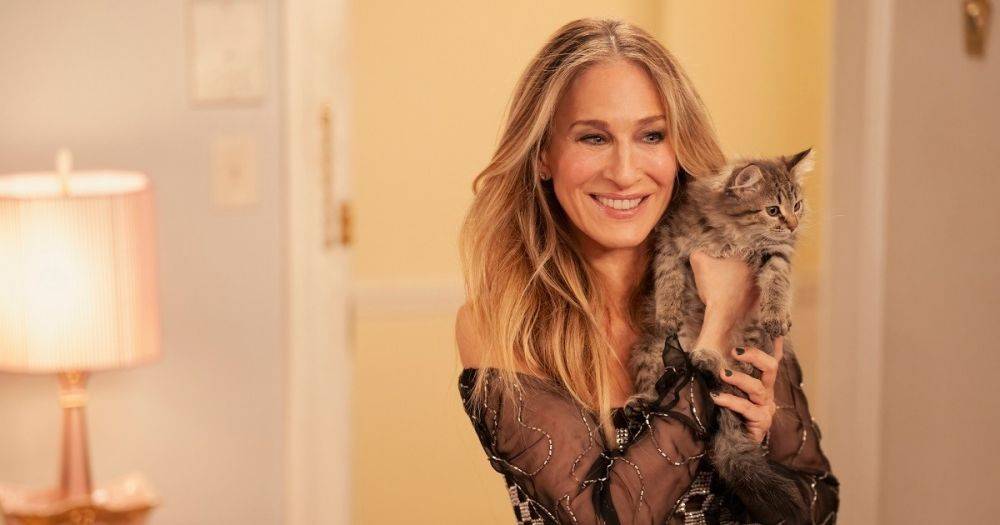 Сара Джессика Паркер забрала домой котенка со съемок сериала "И просто так…"