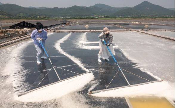 Южная Корея из-за сброса воды с «Фукусимы» проверит все соляные фермы